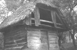 eika image